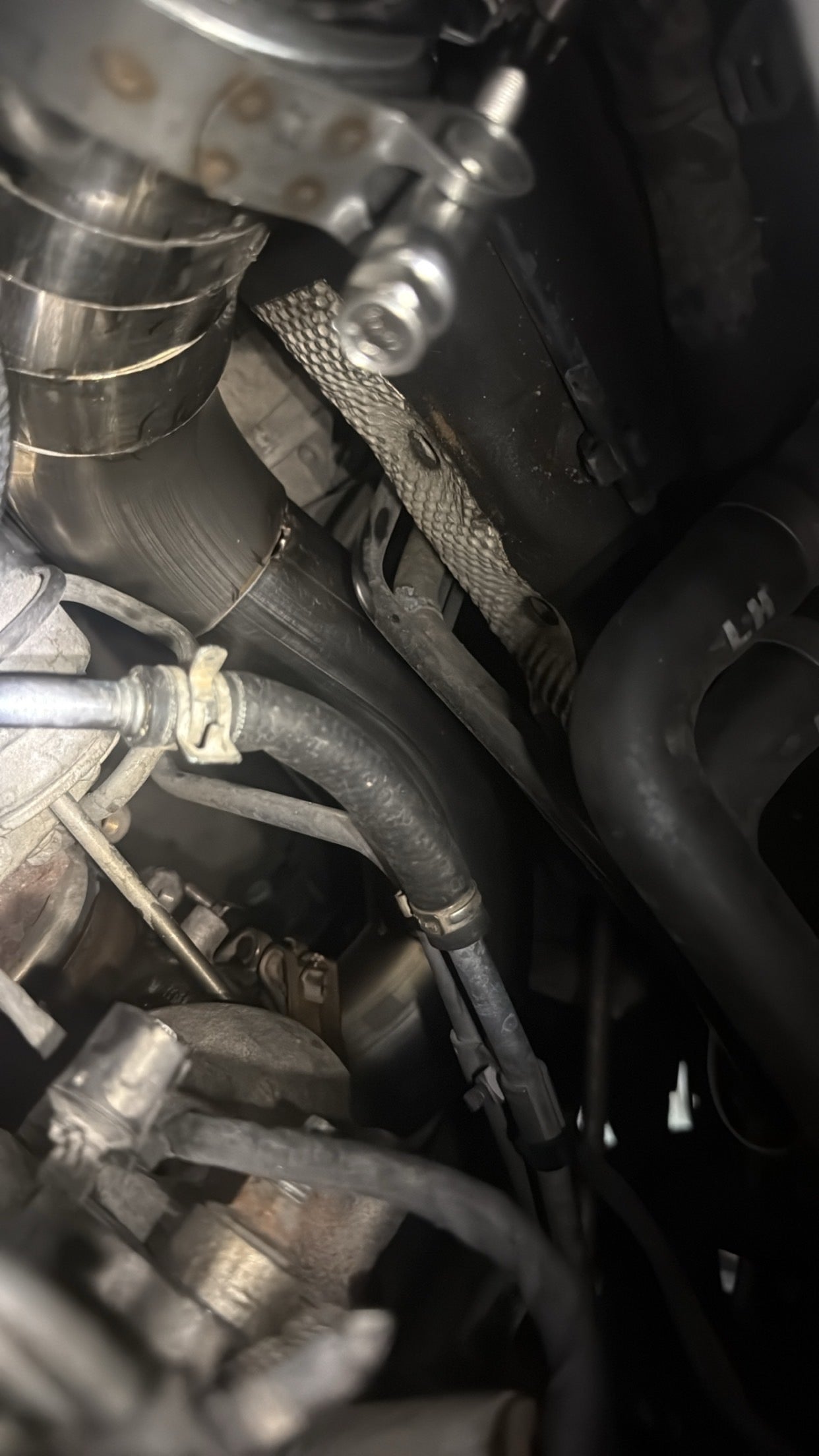 2013-2018 focus st hood dump preorders