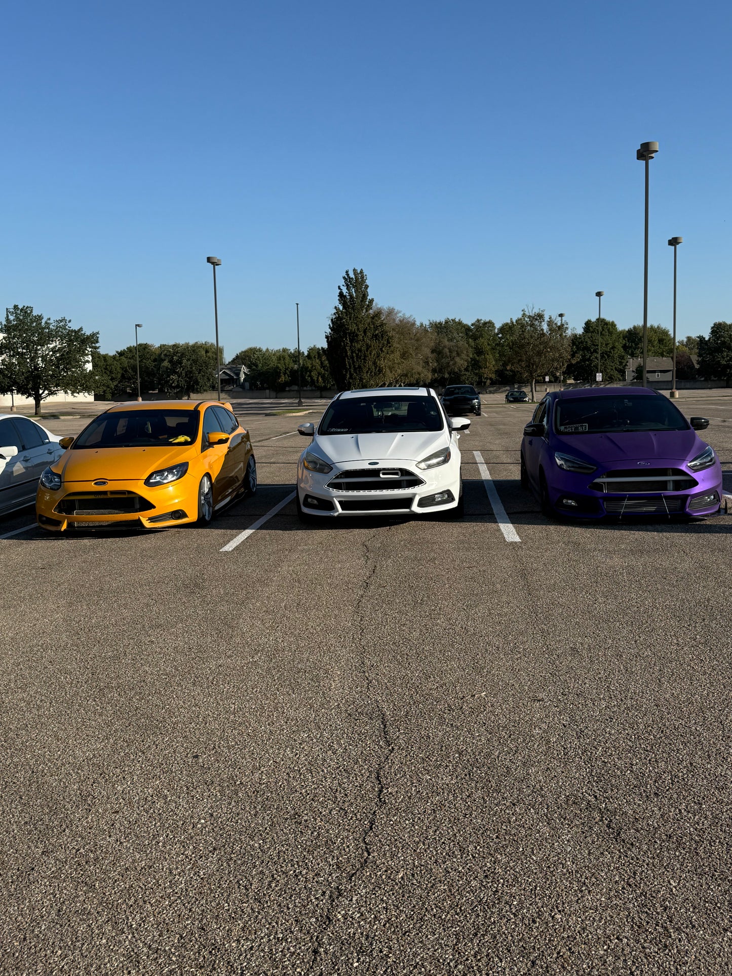 Built Crash Bar Ford Focus ST 2013-2018 Focus RS 2016-2018